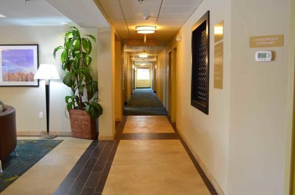 Candlewood Suites San Antonio Airport By Ihg Dış mekan fotoğraf